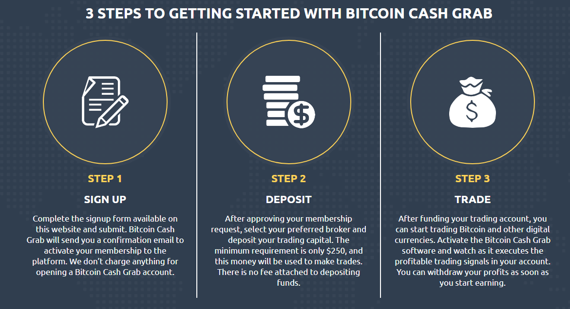 bitcoin cash grab