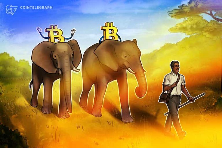Zimbabwe kan bli nästa land att anamma Bitcoin som lagligt betalningsmedel0 (0)